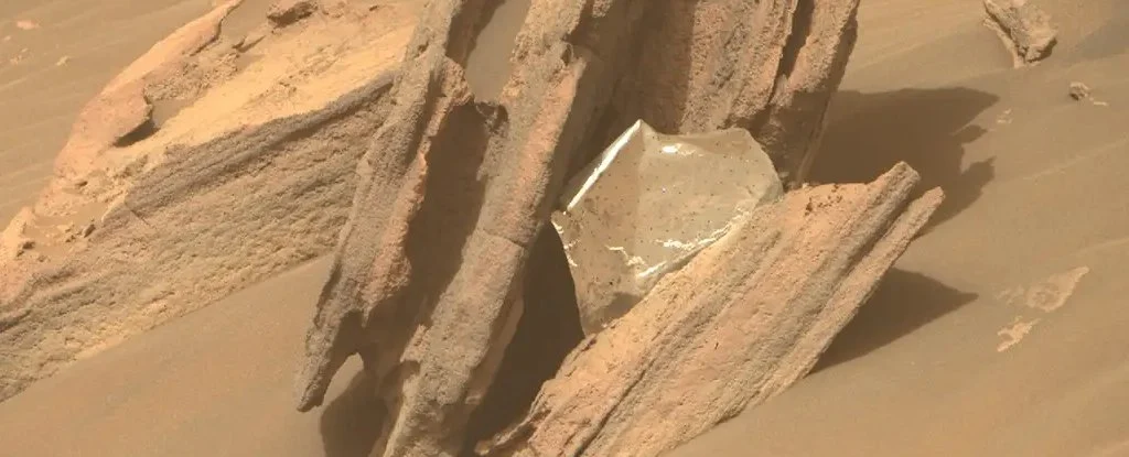 Marsda İnsan Zibili Tapıldı