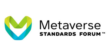 Metaverse-Standarts-Formu