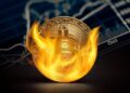 Bitcoin 50 min dolları
