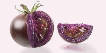 bənövşəyi pomidor