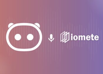 iomete startapı müsahibə tedroid