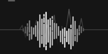 voicedocs