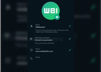 whatsapp username