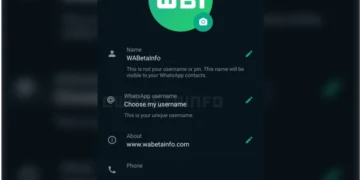 whatsapp username