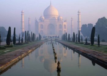 goldman sachs hindistan