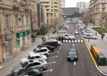 nəqliyyat vasitələrinin parklanmasına