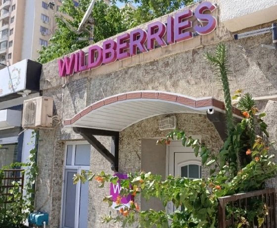 Wildberries şirkəti Azərbaycanda