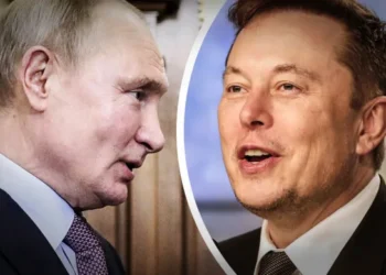 putin elon musk