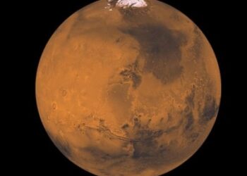 marsdan nümunə