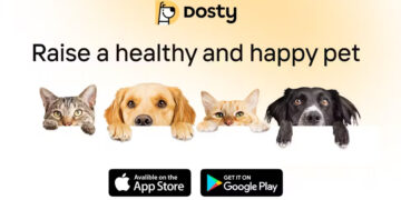 Dosty startapı