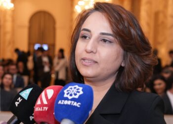 investisiya maliyyə İnarə Vəliyeva