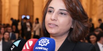 investisiya maliyyə İnarə Vəliyeva