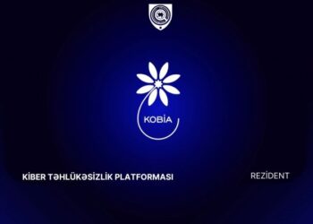 Kiber Təhlükəsizlik