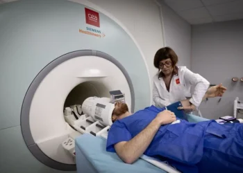 insan beyninin aydın görüntüsü