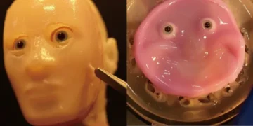 insanabənzər dəri