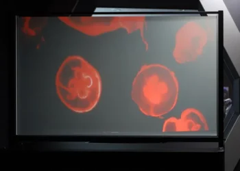 Şəffaf televizorlar