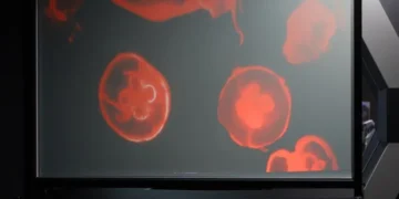 Şəffaf televizorlar