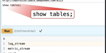 DeepSeek istifadəçi