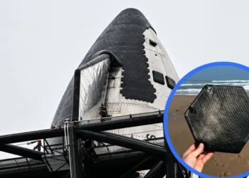 Elon Musk Starship