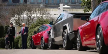 Trump Tesla