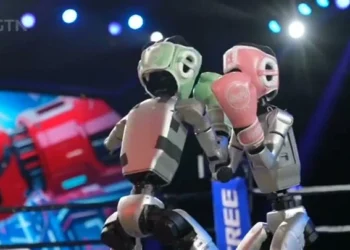 robot boks