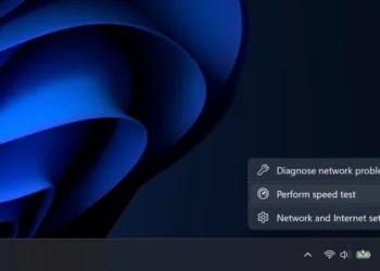 Windows 11 internet