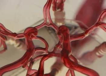 Alimlər bu dəfə “Damarlarda üzən” robot hazırlayıb!