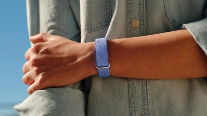 Fitbit Air