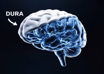 Elon Neuralink