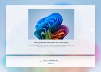 Windows 11